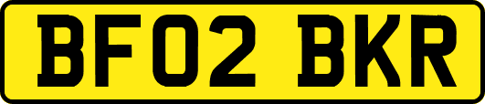 BF02BKR