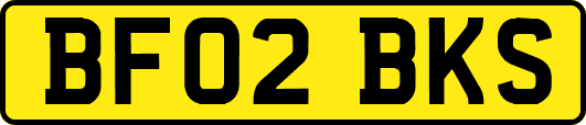 BF02BKS