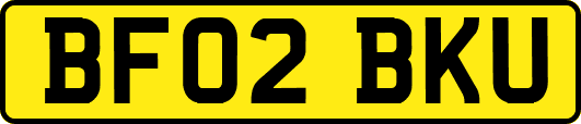BF02BKU