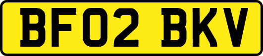 BF02BKV