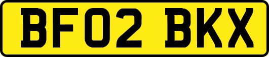 BF02BKX