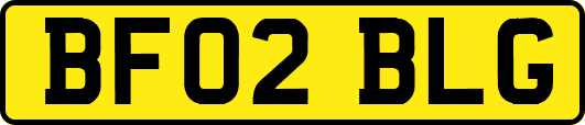 BF02BLG