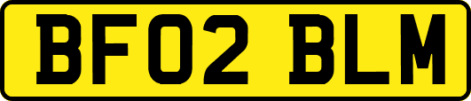 BF02BLM