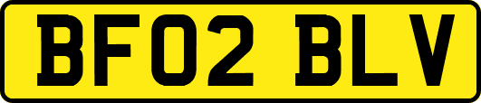 BF02BLV