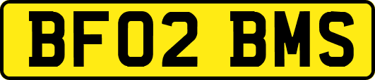 BF02BMS