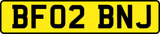 BF02BNJ