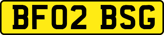 BF02BSG