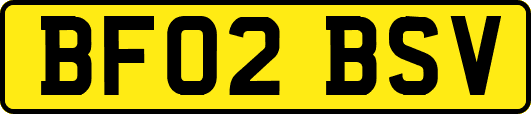 BF02BSV