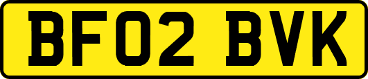 BF02BVK