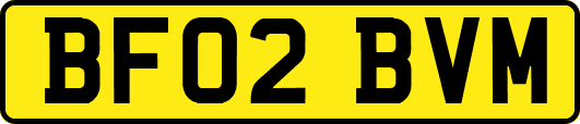 BF02BVM
