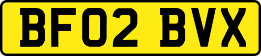 BF02BVX