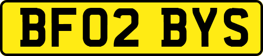 BF02BYS