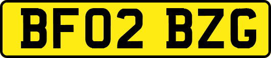 BF02BZG