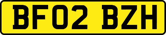 BF02BZH