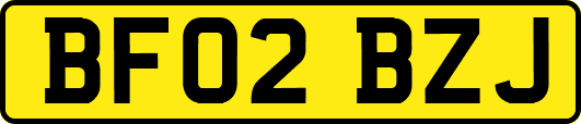BF02BZJ