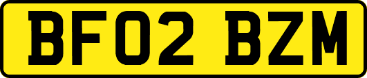 BF02BZM