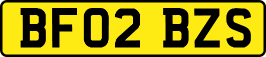 BF02BZS