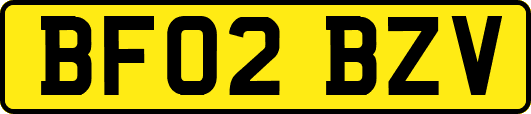 BF02BZV