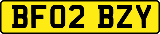 BF02BZY