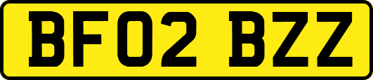 BF02BZZ