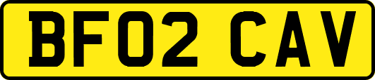 BF02CAV