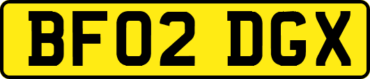 BF02DGX