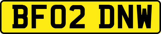 BF02DNW