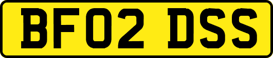 BF02DSS