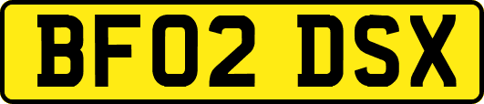 BF02DSX