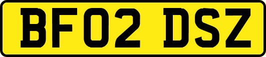 BF02DSZ