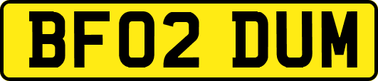 BF02DUM