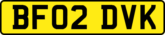 BF02DVK