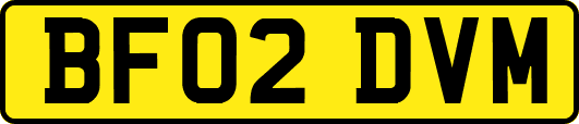 BF02DVM