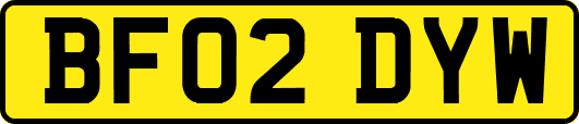 BF02DYW