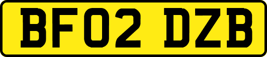 BF02DZB