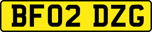 BF02DZG