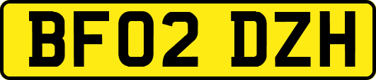 BF02DZH