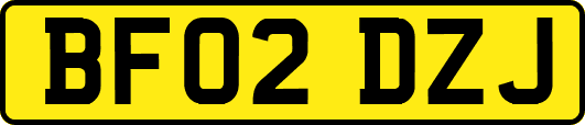BF02DZJ