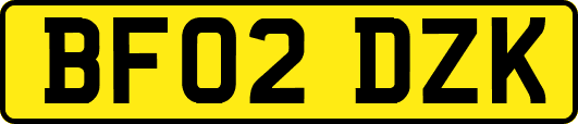 BF02DZK