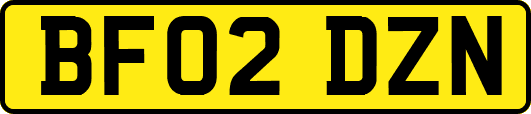 BF02DZN