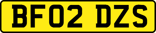 BF02DZS