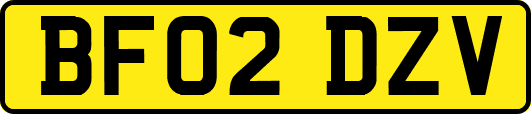 BF02DZV
