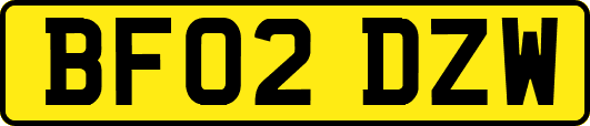 BF02DZW