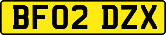 BF02DZX
