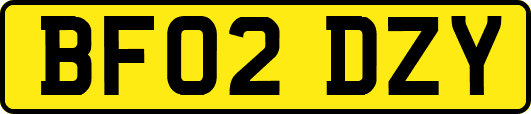 BF02DZY