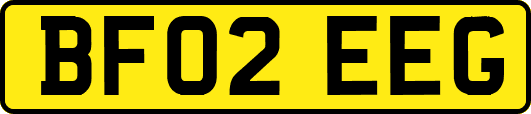 BF02EEG