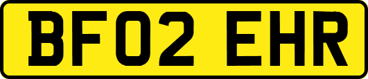 BF02EHR