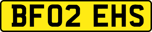 BF02EHS