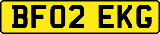 BF02EKG
