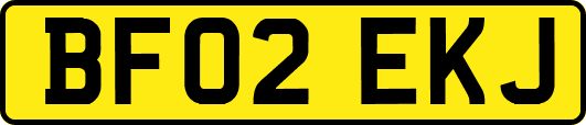 BF02EKJ